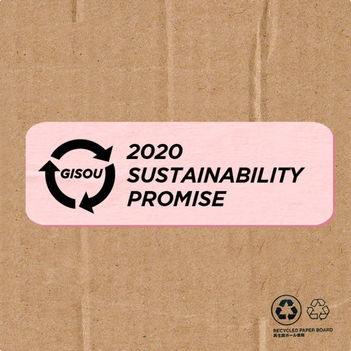 Sustainability promise 2020