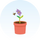 Flower will bloom through July, August, September & October