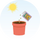 Plant seeds in April, May, June